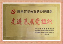 陕西省非公有制经济组织先进基层党组织
