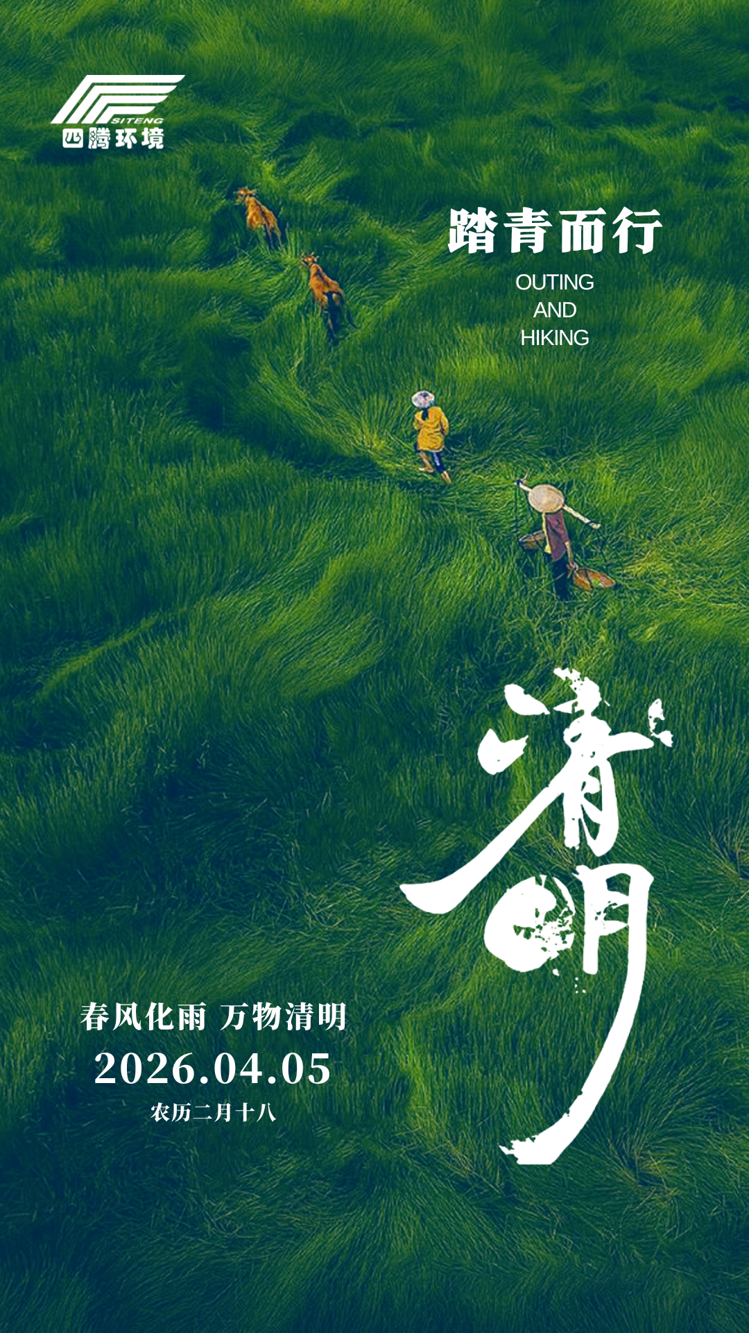 绿色简约图文清明手机海报.png